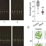 浙江大学李冉团队最新PNAS