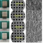 西工大苏海军团队《Ceram&#160;Int》：Fe-Mg元素共掺杂提升光固化3D打印生物陶瓷体外生物活性