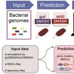 天津医科大学贾书磊/江苏海洋大学杨光团队《ImetaOmics》：BioMGCore—在复杂微生物组中批量提取生物代谢基因簇