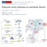 Nature communication & Nature reviews endocrinology | 期刊学习