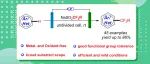 【Chem. Commun.】洛阳师院田云飞/付维军/河大李泽江：电化学诱导的杂（芳）环的选择性二氟乙基化反应