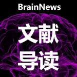 bioRxiv| 三个“迷你大脑”联手更聪明——HD-MEA上的类器官网络研究