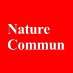华侨大学副院长陈宏伟Nature子刊：新型有机电极助力高功率和长循环应用