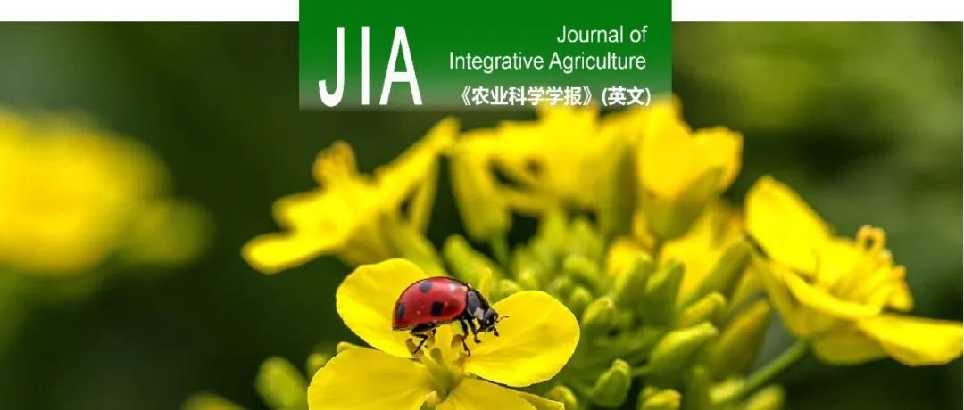 JIA | 贵州大学农学院田恩堂教授团队芥菜型油菜高密度遗传图谱创建及主要脂肪酸遗传解析