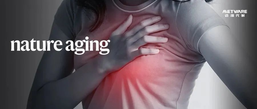 Nature Aging | 衰老乳腺组织的单细胞“画像”：为乳腺癌防治提供新视角