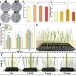 广西大学林宝凤教授团队 CEJ: 用于选择性控制多种害虫的生物安全性海藻酸盐基双农药控释系统
