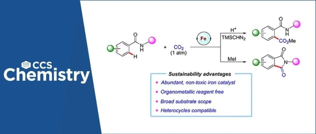 【CCS Chem.】南开大学王佰全：无需金属有机试剂的铁催化的芳基C&#8722;H键与CO&#8322;的还原羧化反应