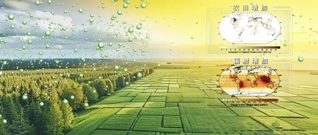 Nature Geoscience ！ 天津大学傅平青教授团队联合国内外学者揭示森林变农田的隐形气候代价