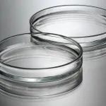 《食品科学》：南京财经大学吴思邈副教授等：L-甲硫氨酸改性微晶纤维素对革兰氏阳性菌的抑制作用