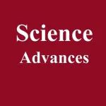 北大赵清/苏大孙宝全/电子科大赵怡程等Sci.Adv.：超越钙钛矿的带隙限制：实现显著的可见至红外(2000 nm)光吸收