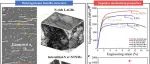 西安交大《Advanced Science》利用双功能氮-位错交互作用实现创纪录的超高强度延性双相钛合金