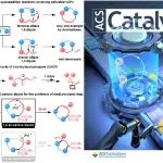 淅师大邓卫平团队ACS Catal.封面：乙烯基芳基环丙烷——全碳偶极前体调控环加成反应的线性区域选择性