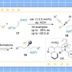 【JACS】有机催化不对称烷基炔基酮亚胺反应：手性α-三烷基胺的合成新策略