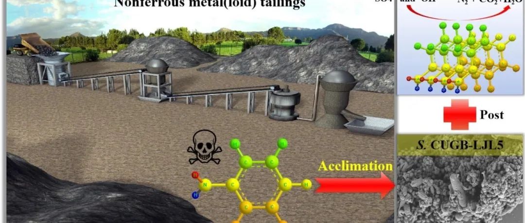 文献速递|中国地质大学（北京）SPT:通过微生物处理后 Fe(II) 或 Co(II)/PMS 高级氧化工艺降解苯胺