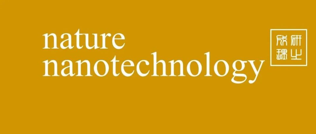 复旦大学，Nature Nanotechnology！