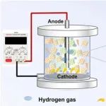 天津大学赵迎新/翟思媛团队EEH：混合电子供体条件下生物膜电极反应器的氮去除性能及电子竞争机制研究