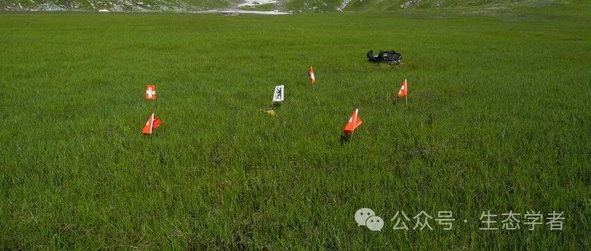 新方法！北京林业大学草学院硕士生一作在国际知名生态学期刊发表模拟自然氮沉降的创新成果！