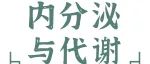 Adv Sci |&#160;陈丽/侯新国/杜媛媛团队揭示BRD4调控胰岛β细胞分化
