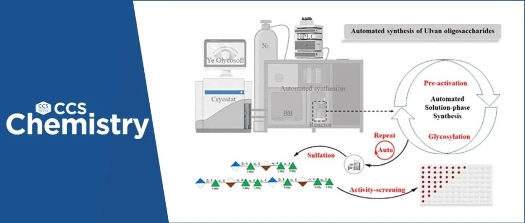 【CCS Chem.】北京大学叶新山团队：类肝素石莼聚糖化合物库的自动按需合成及抗凝血构效关系解析