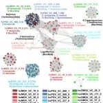 中科院先进院马迎飞《Microbiome》：宏基因组分析揭示三种模式动物小鼠、猪、食蟹猴肠道噬菌体多样性