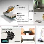 深圳大学李辉npj&#160;Flexible&#160;Electronics：驱感一体仿生磁驱软体机器人