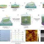 西湖大学工学院孔玮团队AFM：实现大面积TMDCs的手性组装！