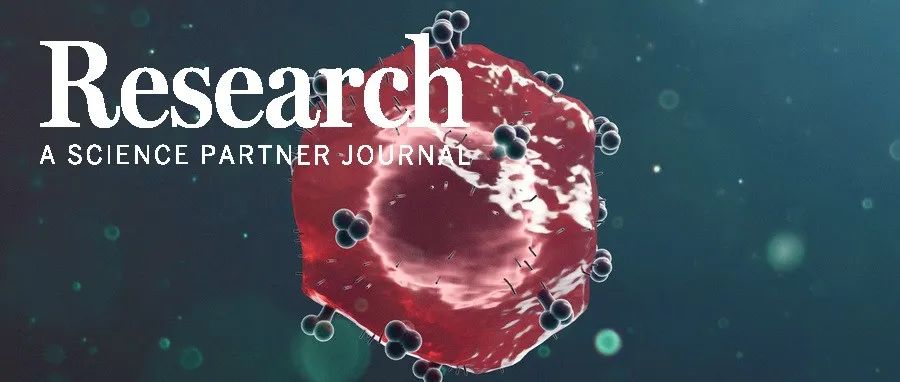 Research|基于单分子成像数据解析HIV-1的转录启动和延伸—中山大学张家军教授团队新进展