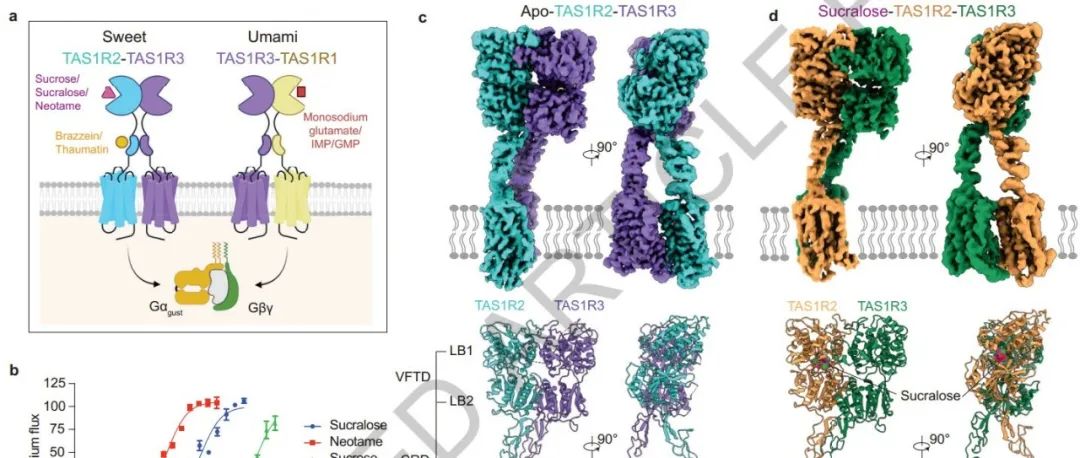 上海科技大学华甜/刘志杰合作最新Nature