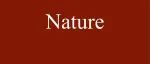 Nature: 世界究竟需要多少博士？博士毕业生数量远超学术岗位