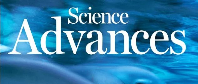Sci. Adv.: 亚毫米磁控微导管技术用于提升血管内介入可达性和治疗效率