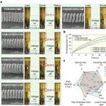 四川大学叶林教授团队 Small：具有稳定致动行为的新型聚甲醛纤维基人工肌肉的构筑