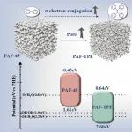 吉林大学李莉娜课题组 ACS Macro Lett.：基于四苯乙烯的多孔芳香框架的增强光催化性能