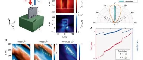 Light: Science & Applications 利用介电元表面揭示设计器涡旋的非线性生成过程