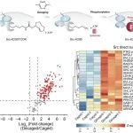 【科技前沿】专家点评Nature | 陈鹏/伊成器建立RNA"暗码"，升级生命语言