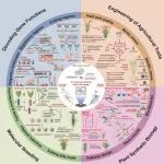 华南农业大学本科生共一作者在植物科学一区Top期刊（IF5y:10.5）发表综述文章
