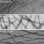 Science Advances：仿生超分子纤化可实现可拉伸和可生物降解的压电生物电子学