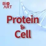 Protein & Cell丨报道治疗宫颈癌的新型药物靶点hZnT1并筛选天然化合物CDDO-ME