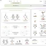 Nature | 北京大学陈鹏、伊成器建立RNA"暗码"，升级生命语言！