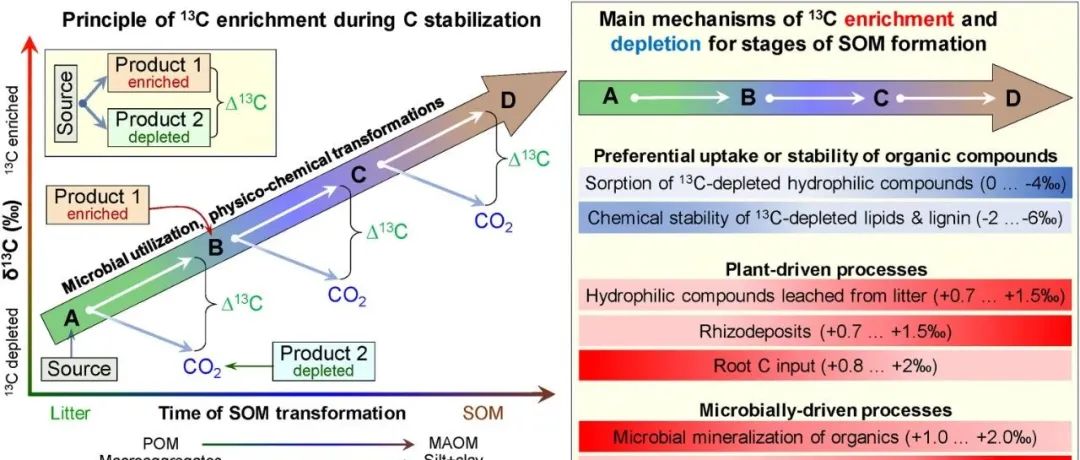 全球尺度评估丨SOIL BIOL BIOCHEM：13C自然丰度揭秘土壤中的碳通路