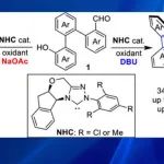 【JACS】湖南师大杨星：有机催化固有手性内酯构建—非手性碱调控的对映发散性合成