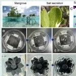 武汉纺织大学《CEJ》：层状梯度结构纳米网复合膜集成油水分离、海水淡化与盐回收功能