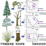新疆大学贡璐教授课题组在Catena发表最新科研进展