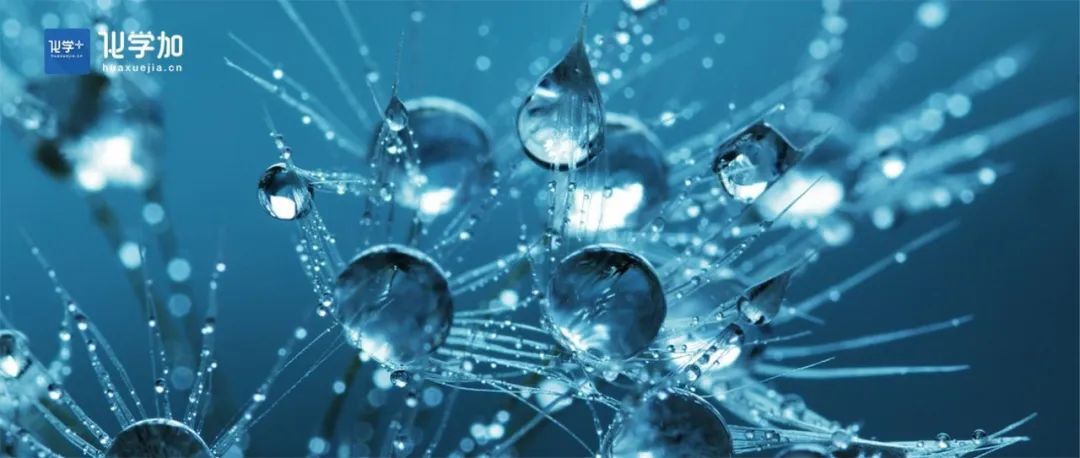 Angew：水相中酶促-化学催化协同！H&#179;CP实现区域选择性C-H官能化