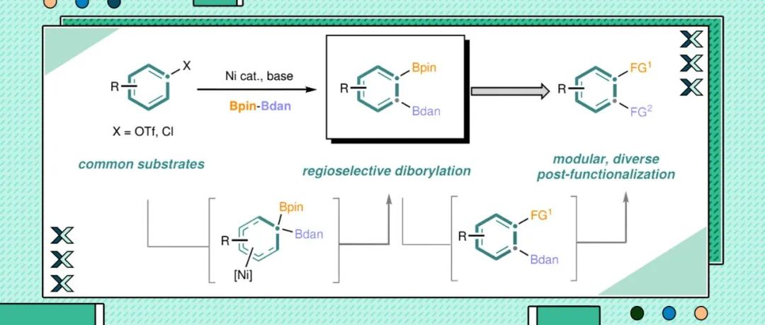 【Nature】芝加哥大学董广彬组：芳烃差异性1,2-双硼化实现其模块化多官能团化
