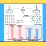 【CCS Chem.】中科院方煜/华南师大严勇/福师大张亮亮：吩噻嗪基金属有机框架的空间电荷转移提高光氧化还原和毒气模拟物降解