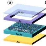 华南理工大学《Carbon》：多功能氮掺杂石墨烯量子点，实现高效稳定的GaAs/CNT异质结太阳能电池