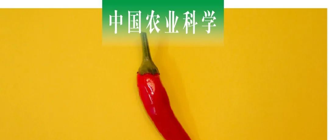 中国农业科学｜西北农林科技大学逯明辉课题组探析辣椒MADS-box转录因子基因CaAGL61的耐热功能