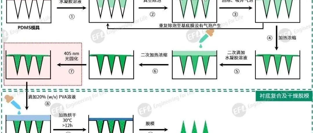 EFL微针制备解决方案V2.0