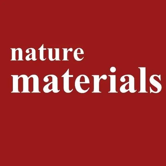 北大/华中科技大学/新加坡国立合作，Nature Materials！