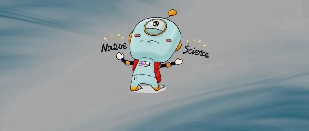 内蒙古大学赵东元院士团队兰坤Chem. Soc. Rev.：功能性介孔材料中的新兴组合物